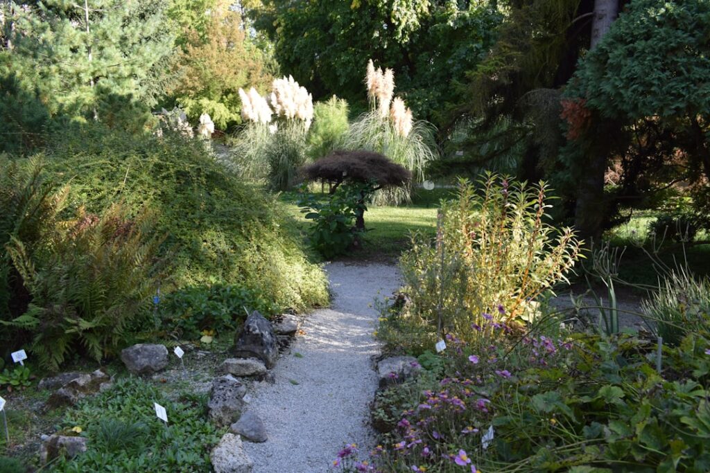 A contemplative path through a lush botanical garden